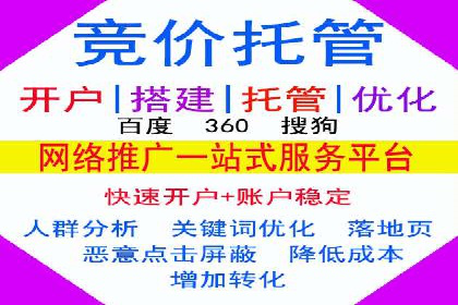 搜索引擎营销（SEM）的精准投放技巧案例